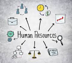 Bagaimana Human Resources Dapat Membantu Mengurangi Tingkat Turnover Karyawan