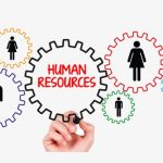 Peran Penting Human Resources dalam Meningkatkan Produktivitas Karyawan